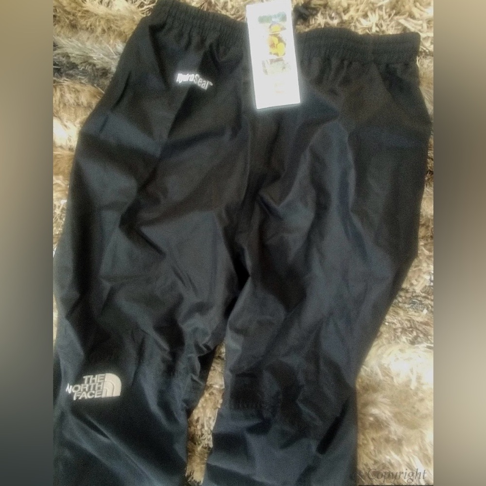 The North Face Men’s Medium explorer ski pants